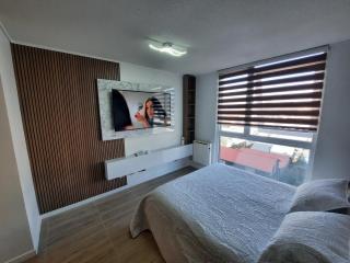 Departamento en Valdivia. - Valdivia - 3