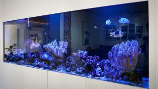 Expansive Luxury Country Escape - 3