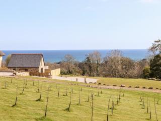 Apple Blossom Barn - Penzance - 0