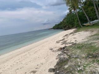 palanas white sand beach resort - 0