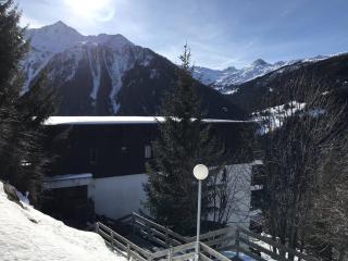 Charmant studio 4 pers, balcon Sud, proche pistes - Plan Peisey - FR-1-757-127 - Peisey-Nancroix - 2
