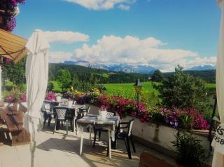 Gasthof Mesnerwirt - Auna di Sopra - 5
