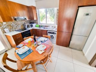 Beach Villa With Private Pool And BBQ 17 - Perivólia - 1