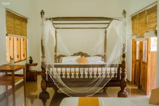 Rivendell Twisted Tree - 1