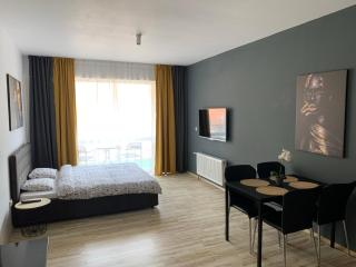 One Apartments Sinaia - Sinaia - 0