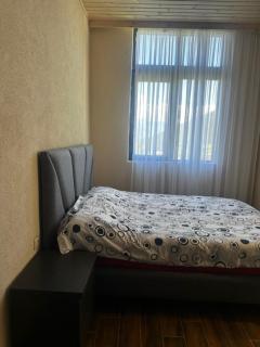 panorama cottages, tbeti - Shuakhevi - 2
