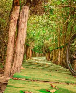 Vikindu forest campsite - Dar es Salaam - 6