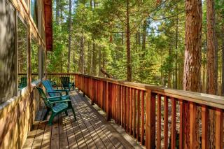 Peace of Mine - Cabin inside Yosemite - Dog Friendly - South Wawona - 1