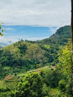 Will Guest Homestay - Ella - 5