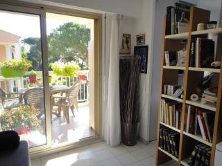 Appartement accueillant à Golfe-Juan - 30 m² - Piscine - Golfe-Juan - 4