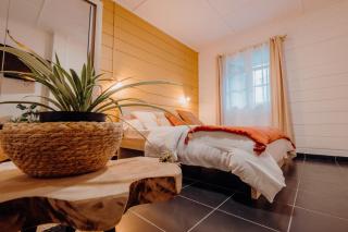 La villa du jardin - Saint-Denis - 3