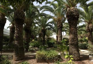 The GrandResort - Limited Edition by Leonardo Hotels - Limassol - 7