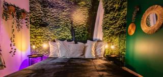 Jungle House - Maison - Hurtigheim - 4