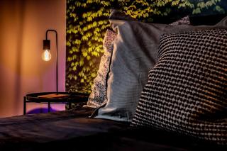 Jungle House - Maison - Hurtigheim - 2