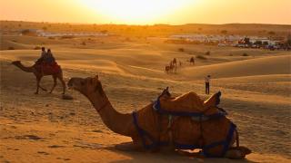 Royal pavilion camps - 2