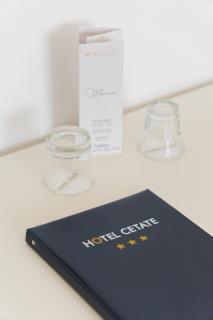 Hotel Cetate - Alba Iulia - 8