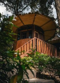Eco Conservation Landak Luxury Tents - Bukit Lawang - 0