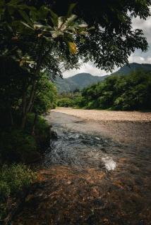 Eco Conservation Landak Luxury Tents - Bukit Lawang - 5