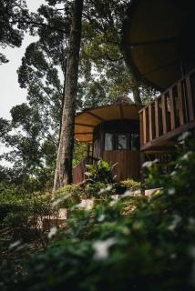 Eco Conservation Landak Luxury Tents - Bukit Lawang - 4