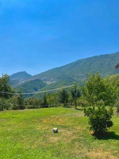 Guest House Laci - Tirana - 6