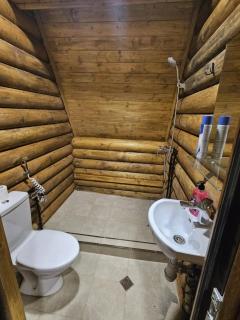 Eco House Bazaleti Lake N2 - Dushetʼi - 5