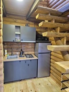 Eco House Bazaleti Lake N2 - Dushetʼi - 6