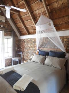 Elephant Memories - Marloth Park - 3