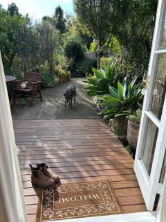 The Studio - Coromandel - 0