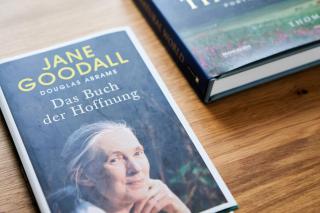 Alte Seifensiederei - Jane - 4