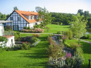 H.W.S. Hotel Der Wilde Schwan - 9