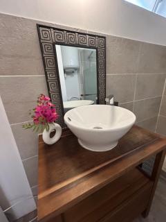 La Cachette Albigeoise, APPARTEMENT PLEIN CENTRE, PARKING GRATUIT SECURISE - Albi - 4