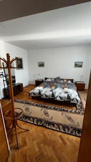 MZ Apartment - Trenčín - 9