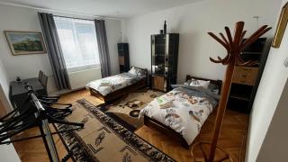 MZ Apartment - Trenčín - 6