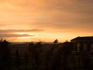 Wild Clover Cottages - Stellenbosch - 9