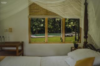 Rivendell Twisted Tree - 1