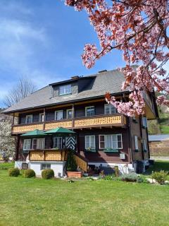 Appartement Steiner - Schladming - 0