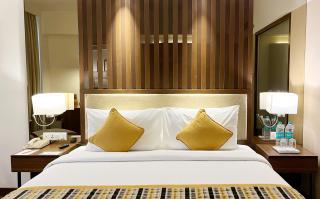 Aditya Park-A Sarovar Portico Hotel - Hyderabad - 8