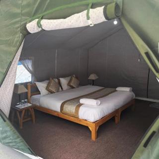 Ladakh Mountian Escape Camp by LexStays - Leh - 7