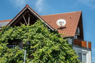 Ferienwohnung Leon - Kappel-Grafenhausen - 8