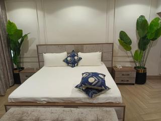 LDS Mall Luxurious Penthouse - Jhang - 3
