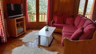 Chalet Les Rennes REN MOUNTAIN & NATURE 10 Pers - Châtel - 0