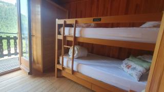 Chalet Les Rennes REN MOUNTAIN & NATURE 10 Pers - Châtel - 1