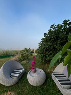 Le Domaine de Darvoy - Darvoy - 9