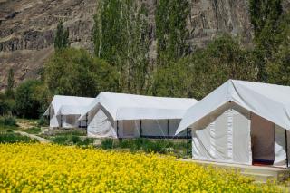 Magpie Camp Ladakh by LexStays - Leh - 9