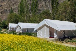 Magpie Camp Ladakh by LexStays - Leh - 4