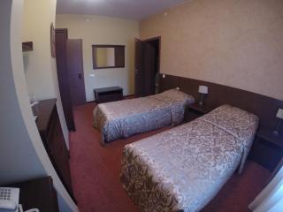 Grafo Zubovo Hotel & SPA - Bubiai - 4