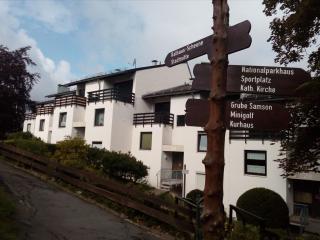 ApartmentHarzgrün2 - Sankt Andreasberg - 4