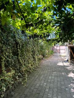 Downtown guest house - Kutaisi - 6