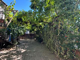 Downtown guest house - Kutaisi - 9