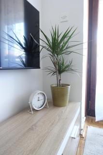 Apartman Tamara - Zadar - 1